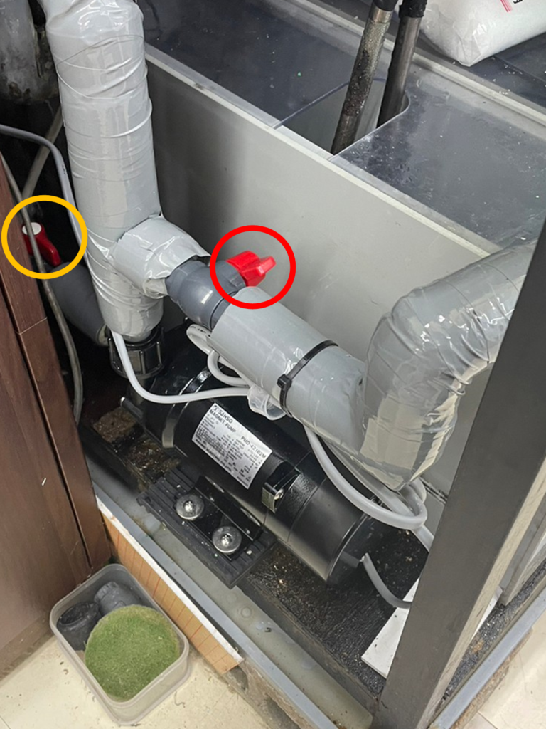 千葉県　活魚水槽　ポンプ交換